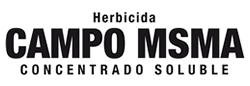 campo-msma